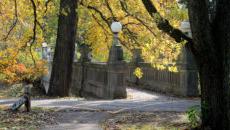 The Grotto Bridge in fall